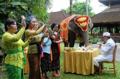 Ilustrasi upacara Tumpek Kandang adat Bali. (Foto: Istimewa)