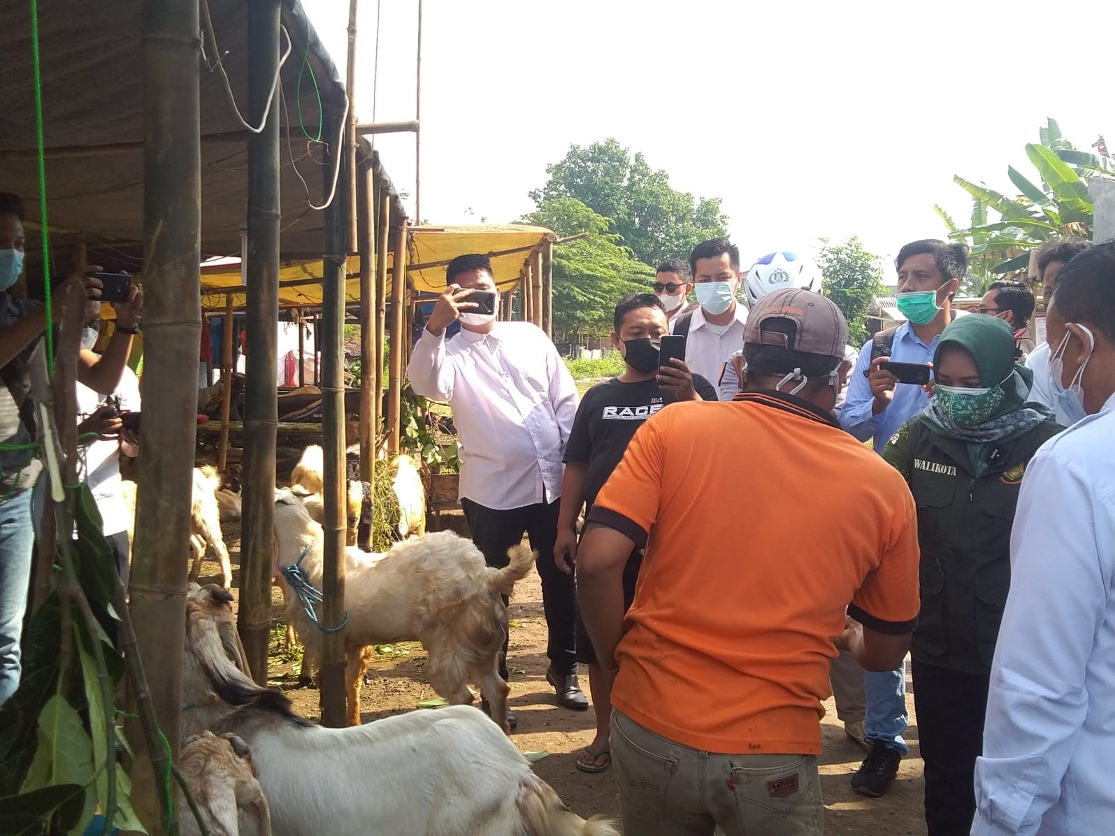 Walikota Mojokerto saat sidak hewan kurban.(Foto: Deni Lukmantara/Ngopibareng)