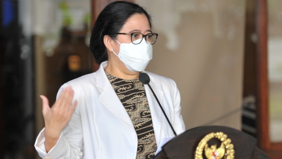 Ketua DPR RI Puan Maharani (foto: istimewa)