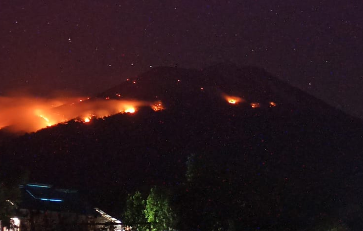 Gunung Ile Lewotolok di Kabuparen Lembata, Nusa Tenggara Timur erupsi dan memicu kebakaran hutan. (Foto: Twitter BNPB)