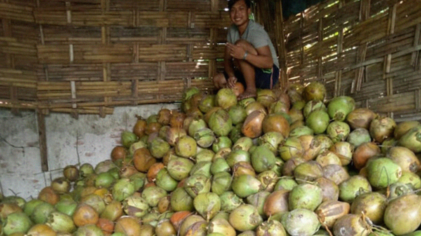 Penjual degan ijo di Probolinggo sedang menata degan-degan yang dijualnya. (Foto: Ikhsan Mahmudi/Ngopibareng.id)