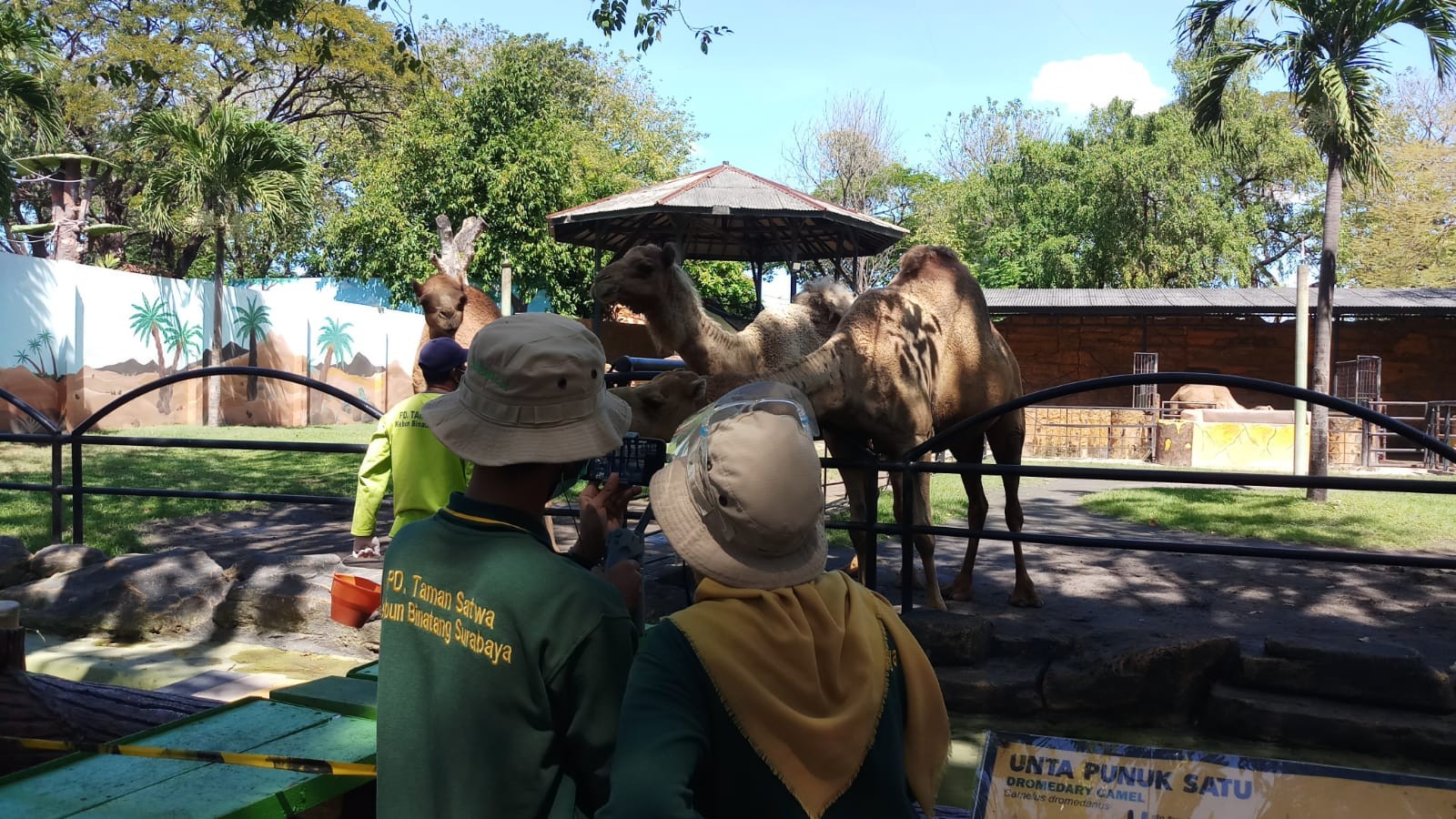 Program kunjungan virtual KBS selama PPKM. (Foto: istimewa)