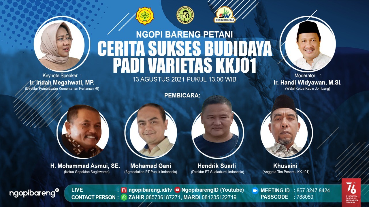 Cerita Sukses Budidaya Padi Varietas KKJ 01