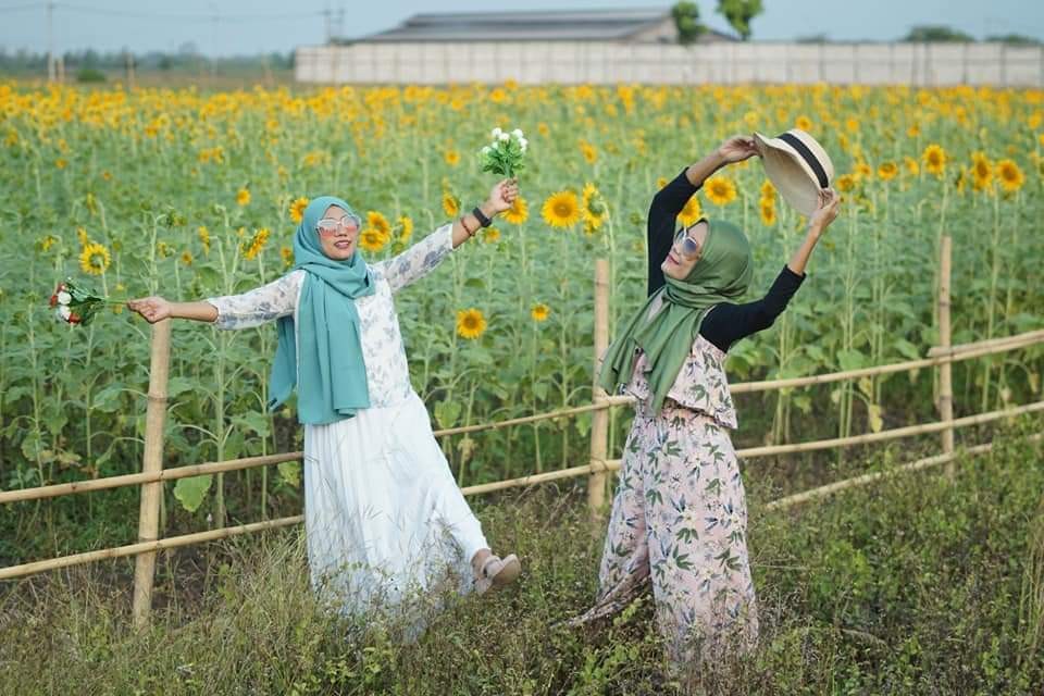 Warga mengabadikan foto di Kebun Matahari Mojokerto, Jawa Timur. (Foto: @genesispicture_ )