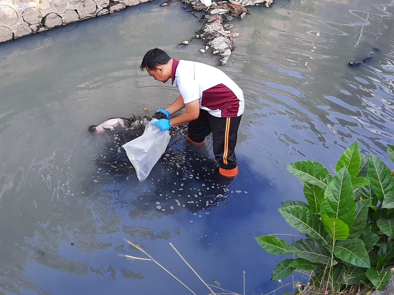 Sosok tubuh mayat bayi laki-laki ditemukan mengapung di sungai kresek (fendi/ngopi bareng. Id)