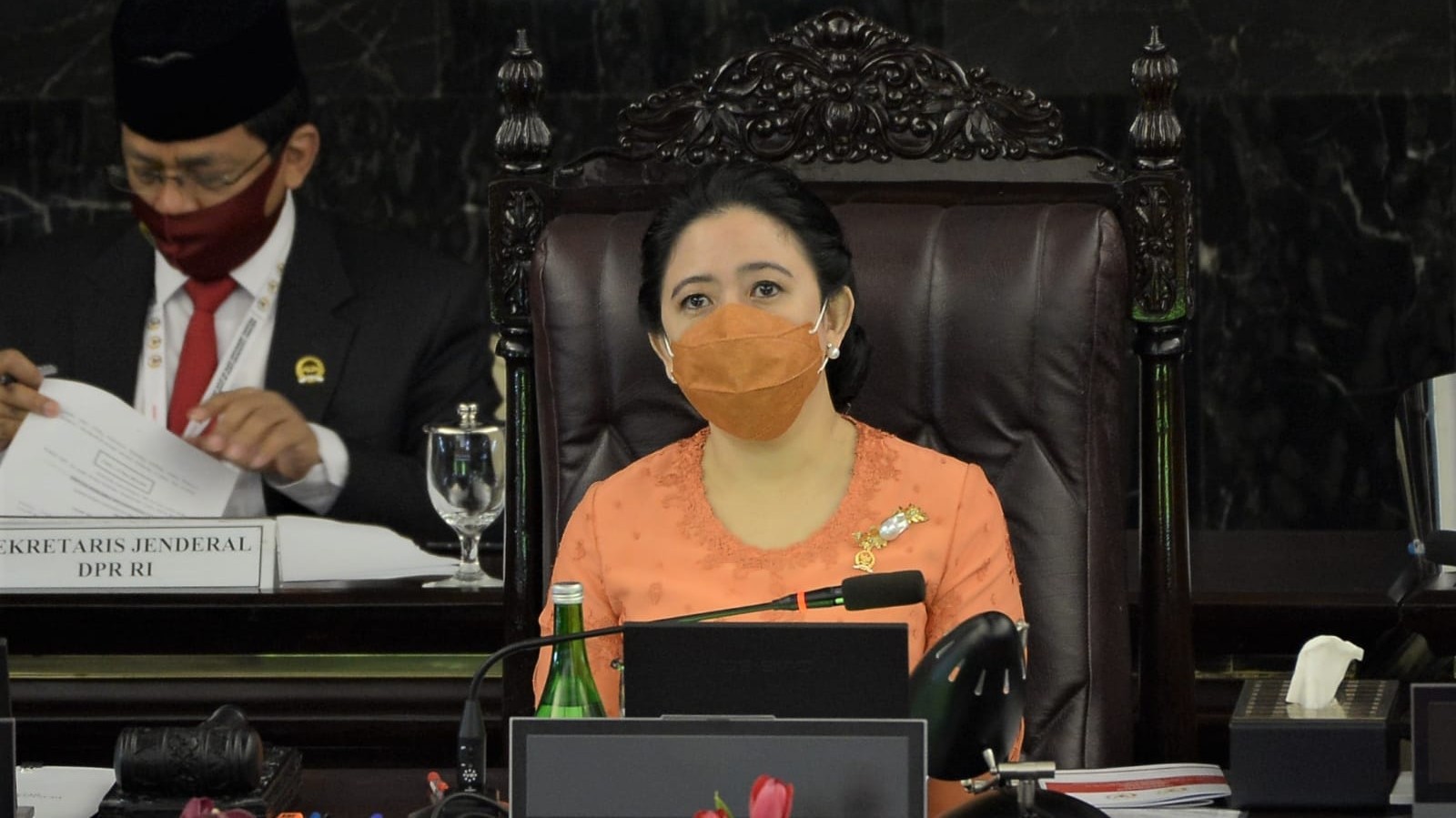 Ketua DPR Puan Maharani (foto : istimewa)