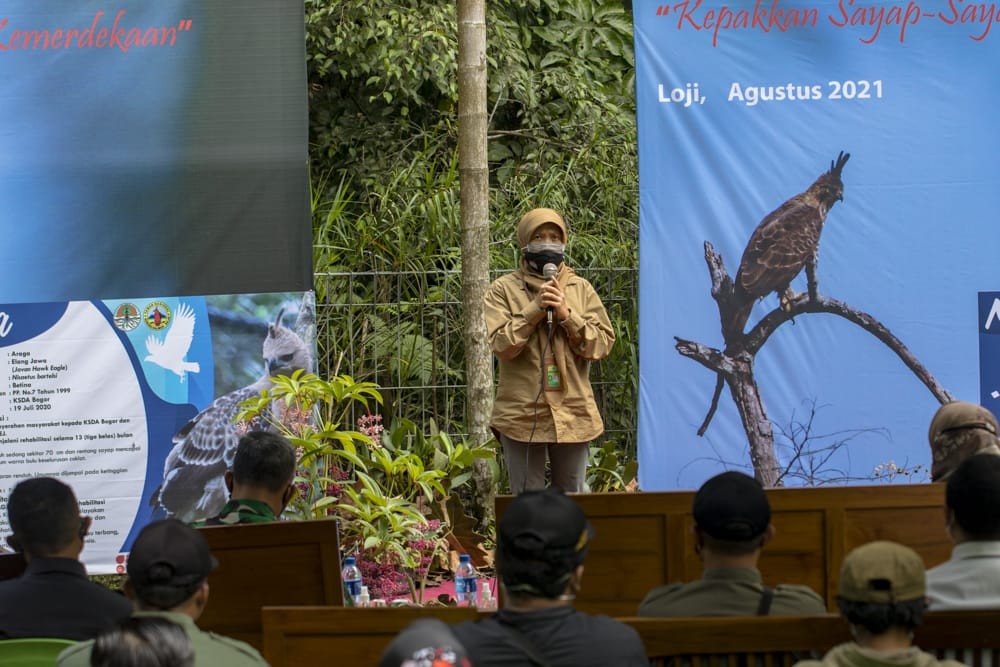 Plt. Kepala Balai Besar TNBTS, Novita Kusuma Wardani saat pelepasliaran dua satwa lang di Seksi IV TNBTS. (Foto: istimewa)