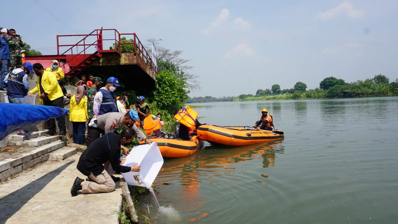 Pelepasan ikan disungai Brantas Mojokerto.(Deni Lukmantara/Ngopibareng)