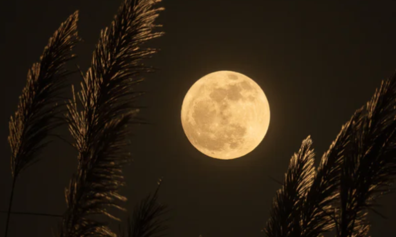 Fenomena blue moon akan muncul pada 22 Agustus malam ini. Berikut sejumlah cara memotret blue moon menggunakan hp. (Foto: unsplash)