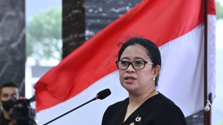 Ketua DPR. RI Puan Maharani (Foto: Istimewa)