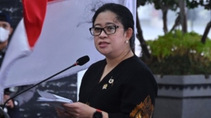 Ketua DPR RI Puan Maharani (foto: Istimewa)