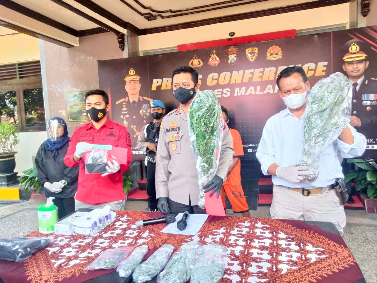 Barang bukti berupa pohon ganja diamankan Polres Malang (Foto: Istimewa)