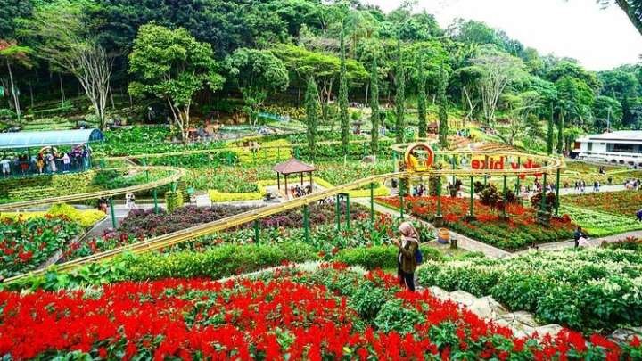 Destinasi Taman Selecta, Kota Batu, Jawa Timur (Foto: Instagram/@tamanrekreasiselecta)