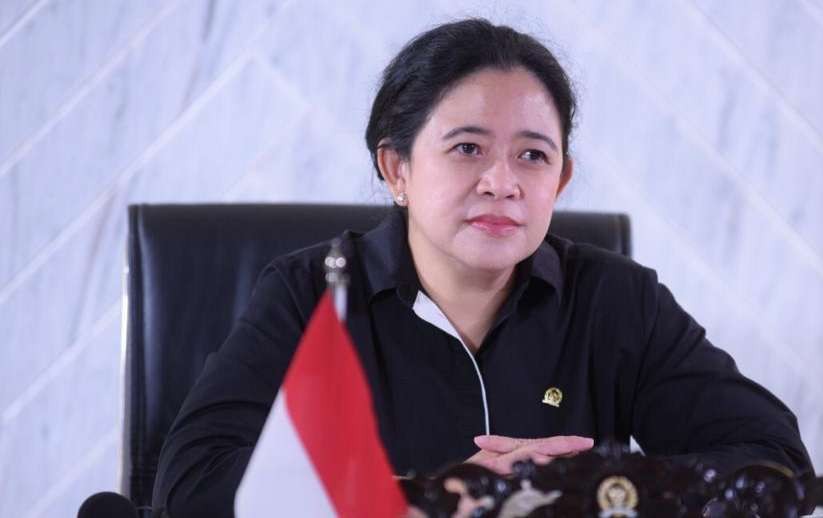 Ketua DPR RI Puan Maharani (Foto: Istimewa)