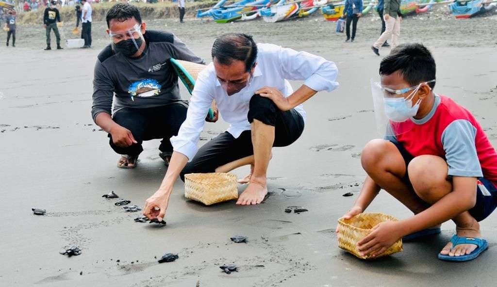 Presiden bersama masyarakat melakukan pelepasanliaran tukik atau anak penyu. (Foto: Setpres)