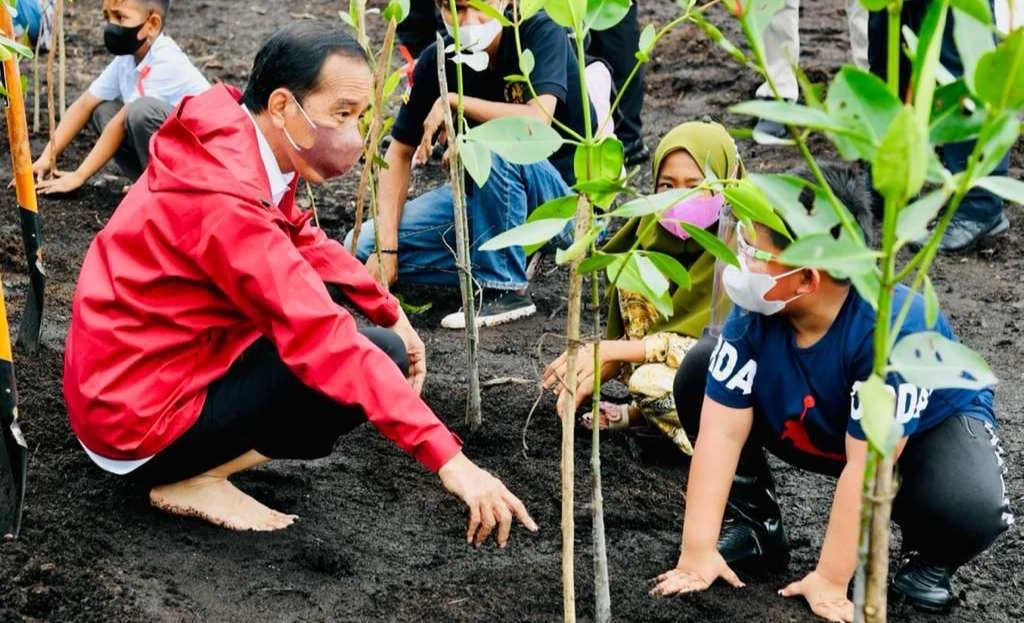 Kerusakan Hutan Mangrove Di Indonesia Capai 600 Ribu Hektare