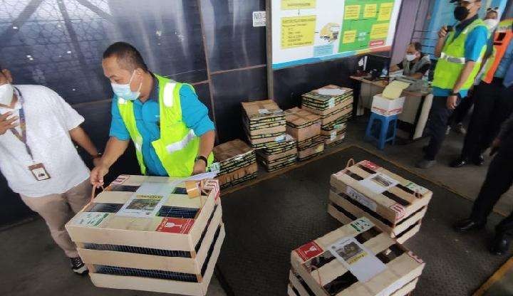 Petugas terminal kargo Bandara Suktan Mahmud Badaruddin II Palembang mengangkut kandang kayu berisikan satwa dilindungi pada hari Selasa, 5 Oktober 2021. (Foto: Antara/M. Riezko Bima Elko P.)