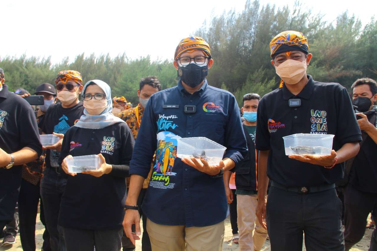 Menparekraf Sandiaga Uno melepasliarkan tukik di Pantai Serang, Blitar. (Foto: Choirul Anam/Ngopibareng.id)