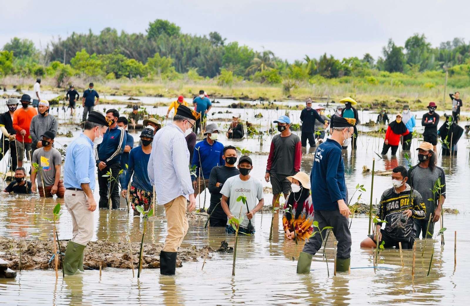 Para duta besar negara sahabat ikut terjun di bletokan lokasi penanamannya, bersama Presiden Joko Widodo.  (Foto:Setpres)