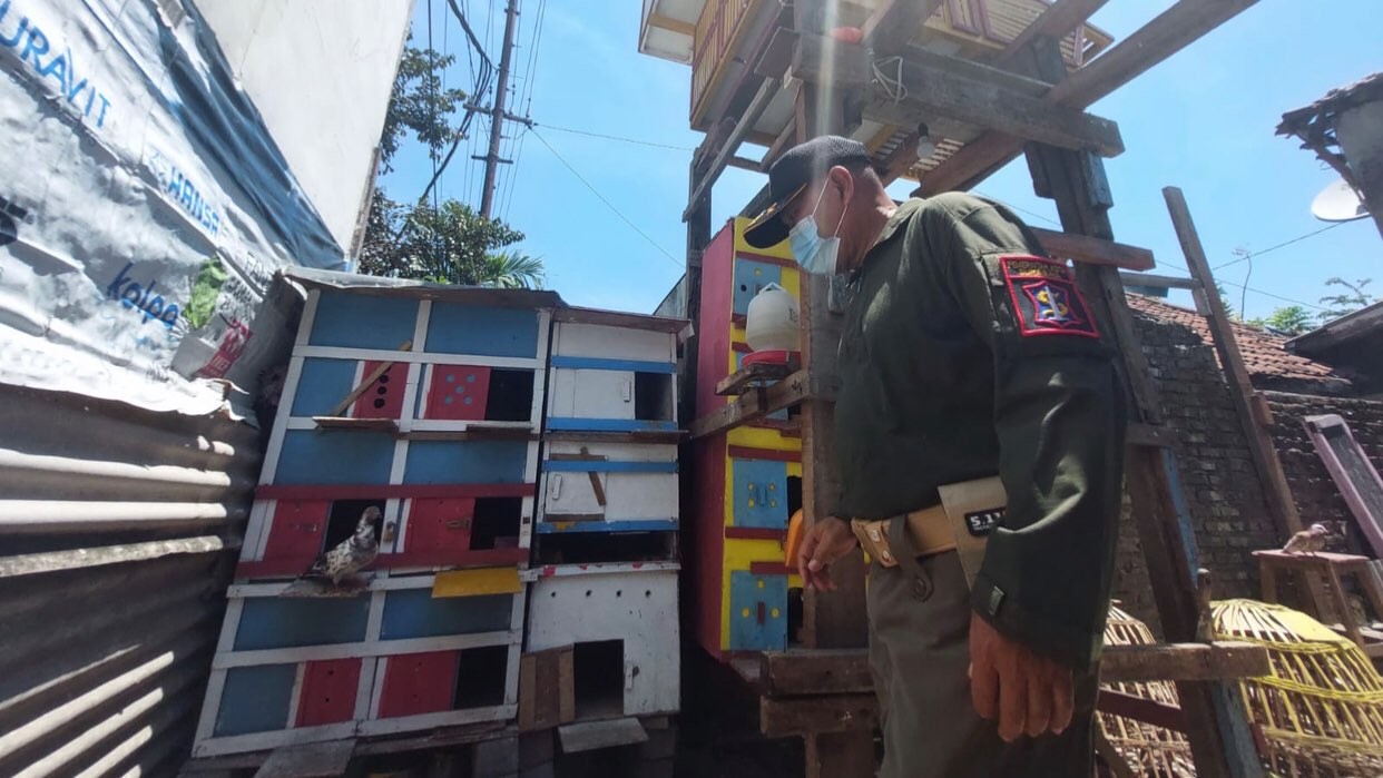 Petugas saat menggrebek tempat judi burung dara di Tambaksari (Foto: dok. Polsek Tambaksari)