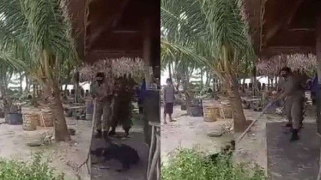 Tangkapan layar dari video penangkapan anjing oleh Satpol PP. (Foto: Istimewa)