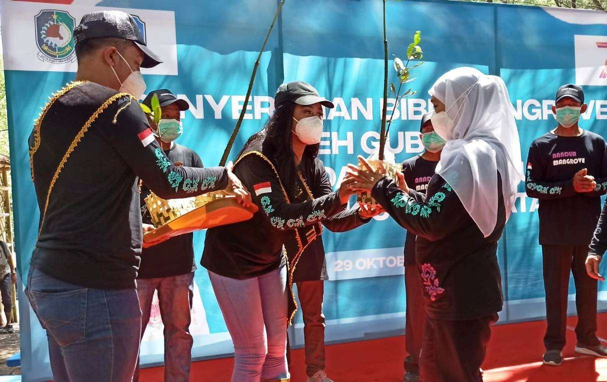 Gubernur Jawa Timur Khofifah Indar Parawansa menyerahkan bibit Mangrove pada relawan sebelum melakukan penenaman mangrove di Teluk Pang Pang. (Foto: Muh Hujaini/Ngopibareng.id)