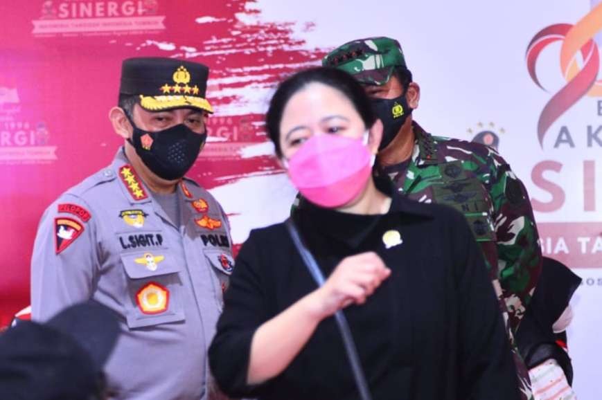 Ketua DPR RI  Puan Maharani (foto: istimewa)