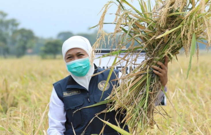 Gubernur Jawa Timur Khofifah Indar Parawansa mengajak masyarakat berperan aktif mewujudkan ketahanan pangan di Jatim. (Foto: Pemprov Jatim)