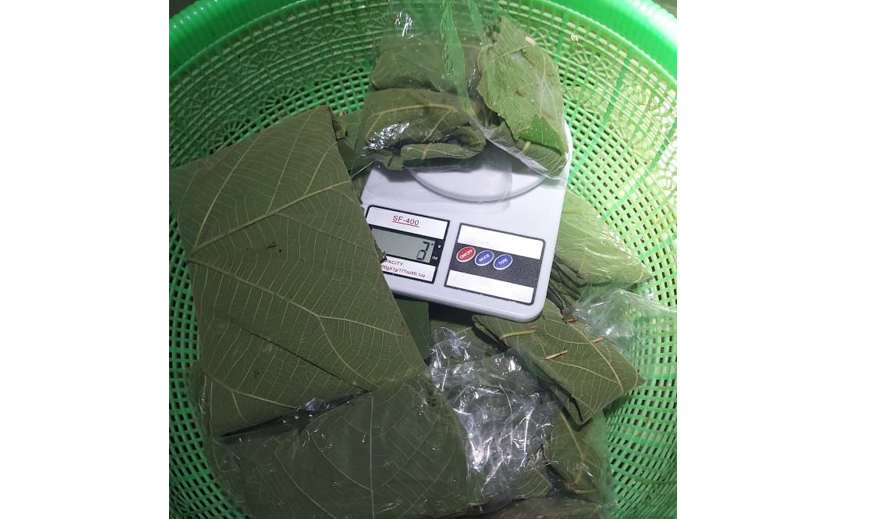 Tempe Mbah Bayan memproduksi tempe dengan bungkus daun jati. (Foto: Joko Intarto)