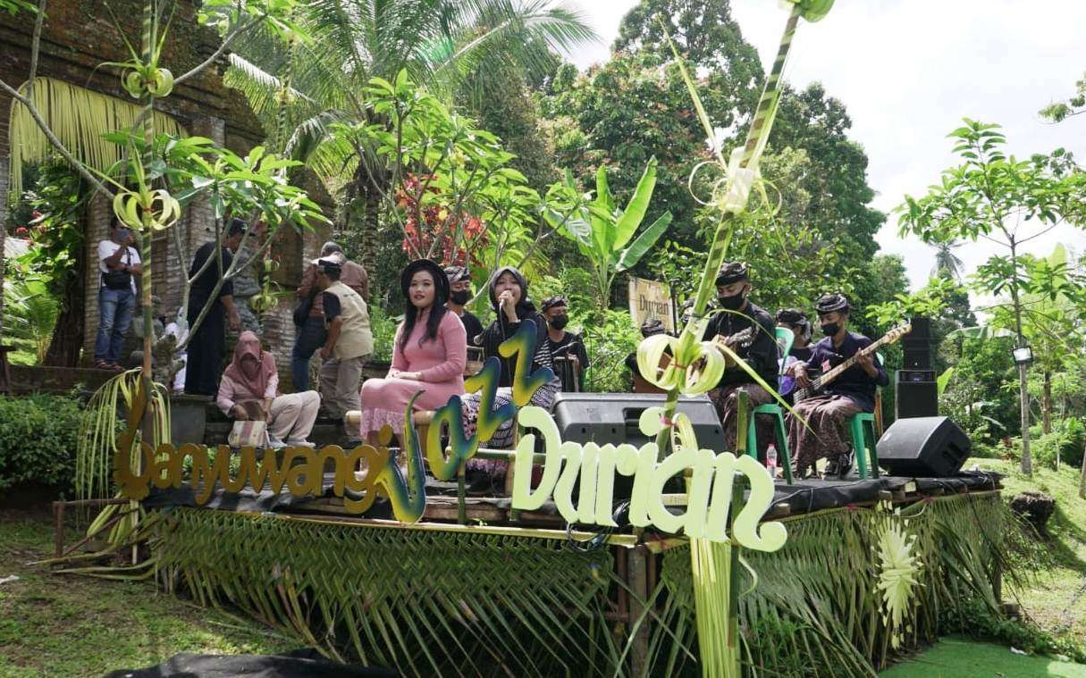 Selain menikmati durian, pengunjung juga bisa menikmati iringan musik jazz di arena Festival Durian di Kecamatan Songgon (foto: Istimewa)