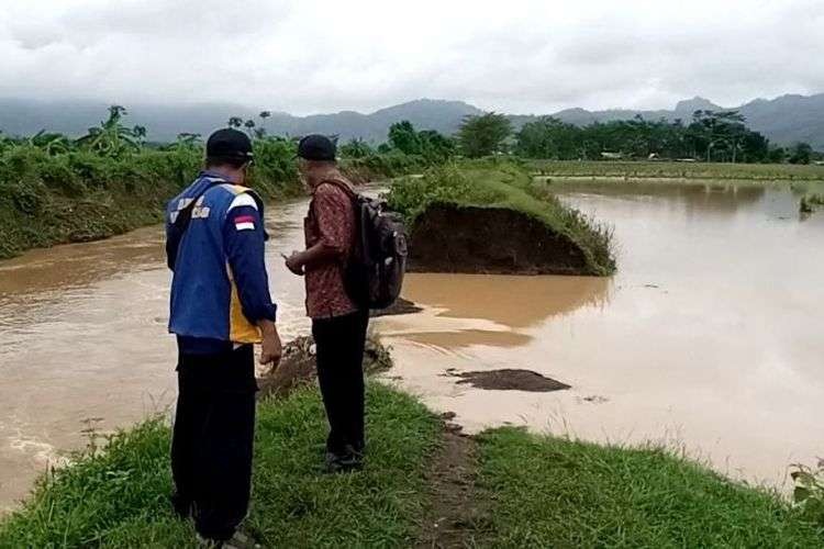 Tanggul sungai di Tunggangri, Tulungagung jebol akibat tak mampu menahan debit air. (Foto: Ant)