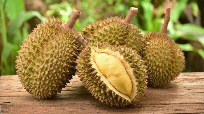 Buah durian rajanya buah yang jadi kegemaran banyak orang dan bisa dijadikan resep olahan makanan. (Foto: Istimewa)