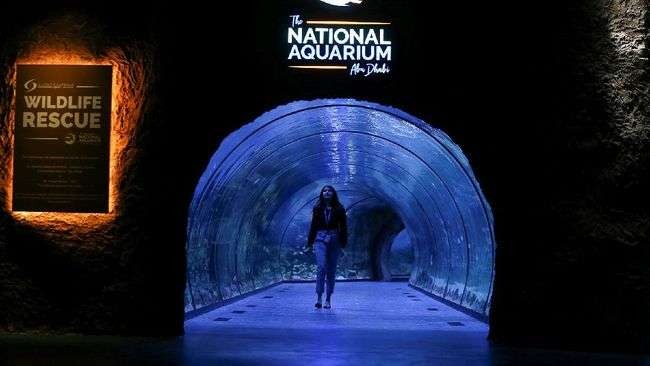 The National Aquarium, akuarium terbesar di Timur Tengah. (Foto: Istimewa)