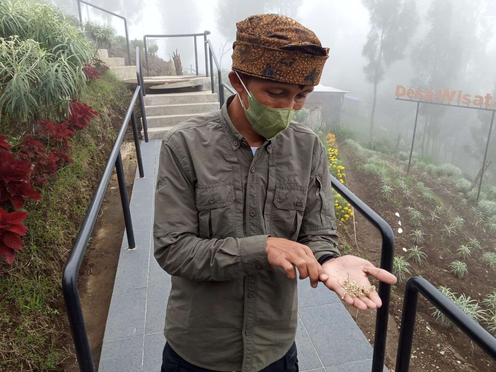 Ketua Kelompok Tani Hulun Hyang, Teguh Wibowo saat menunjukkan bibir Bunga Edelweiss. (Foto: Lalu Theo/Ngopibareng.id)