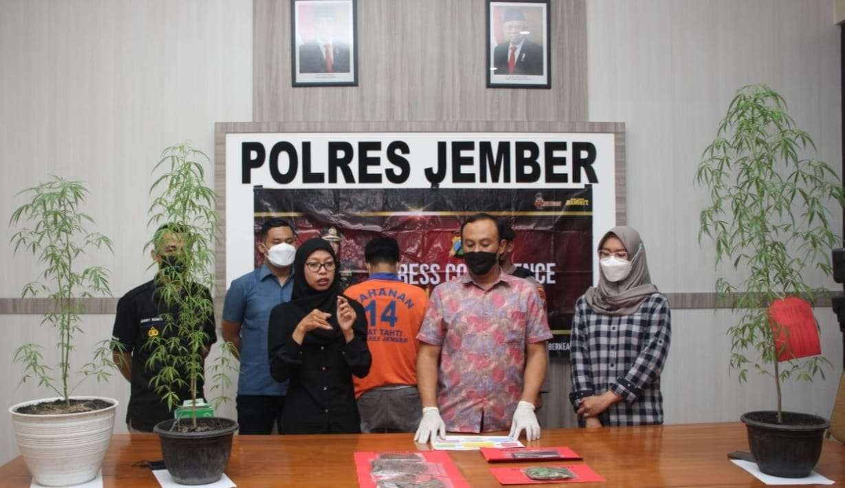 Kasatresnarkoba Polres Jember, Iptu Sugeng Iryanto memaparkan kasus kepemilikan ganja (Foto:Istimewa)