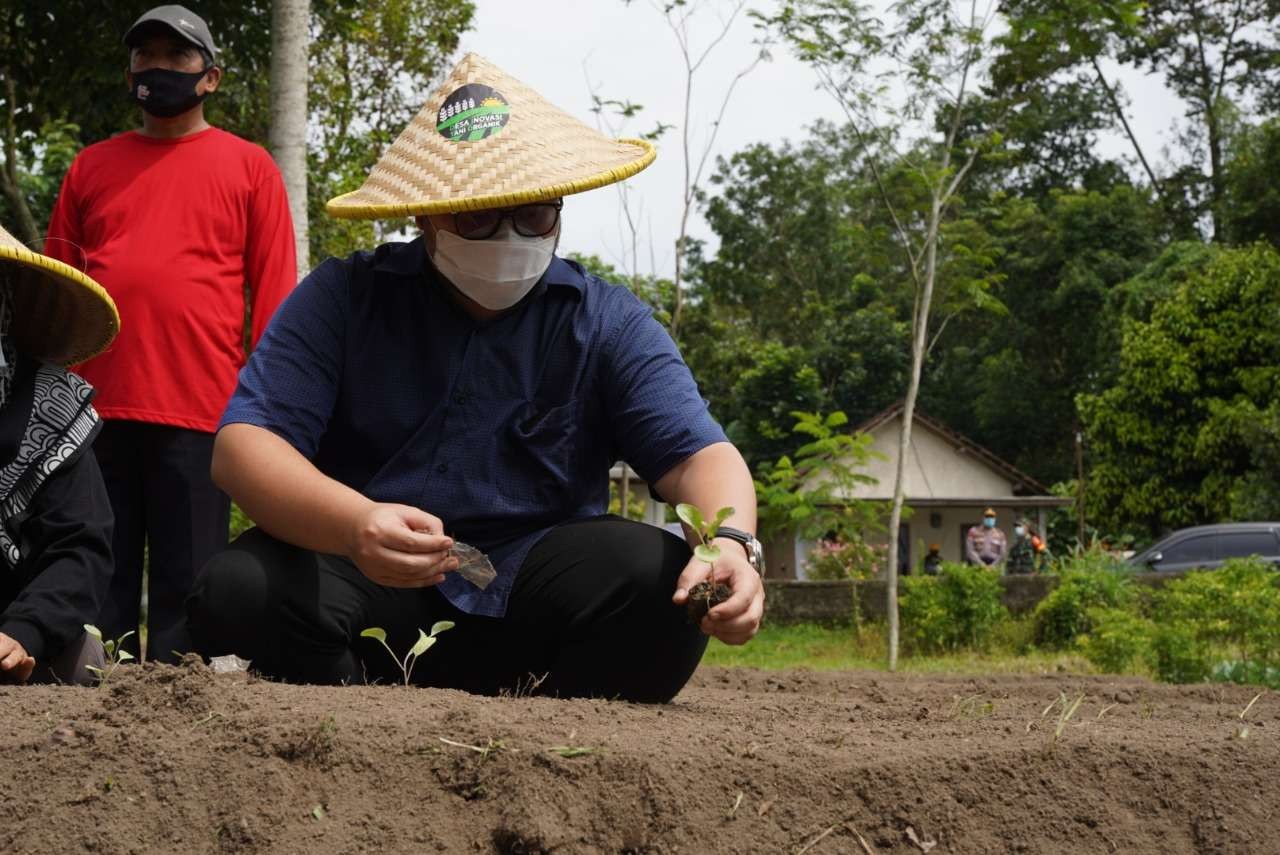 Bupati Kediri Hanindhito Himawan Pramana saat melakukan penanaman bibit pohon. (Foto: Istimewa)