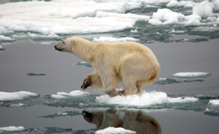 Organisasi Meteorologi Dunia (WMO) mengumumkan suhu terpanas di Kutub Utara mencapai 38 derajat Celsius, tepatnya di kota Verkhoyanks, Rusia. (Foto: unsplash)