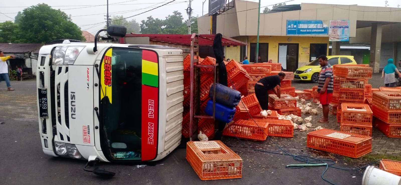 Mobil truk muatan ayam terguling di jalan menikung.(Deni Lukmantara/Ngopibareng)