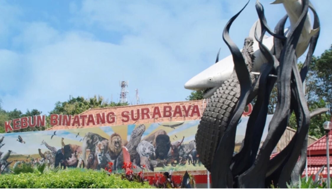 Ilustrasi KBS Surabaya. (Foto: istimewa)