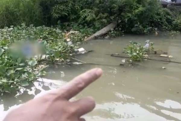 Bocah tenggelam di Kedurus akhirnya ditemukan tersangkut di eceng gondok. (Foto: Dok BPB Linmas)