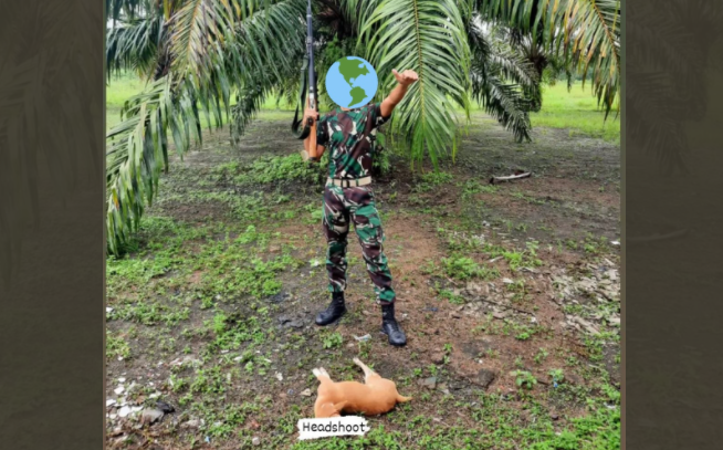 Seorang oknum TNI dikritik netizen pegiat perlindungan binatang. Dalam foto yang viral, terlihat oknum TNI menenteng senapan di depan bangkai anjing. (Foto: Twitter)