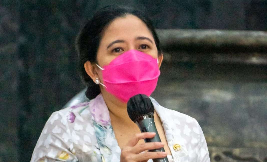 Ketua DPR RI Puan Maharani (Foto: Istimewa)