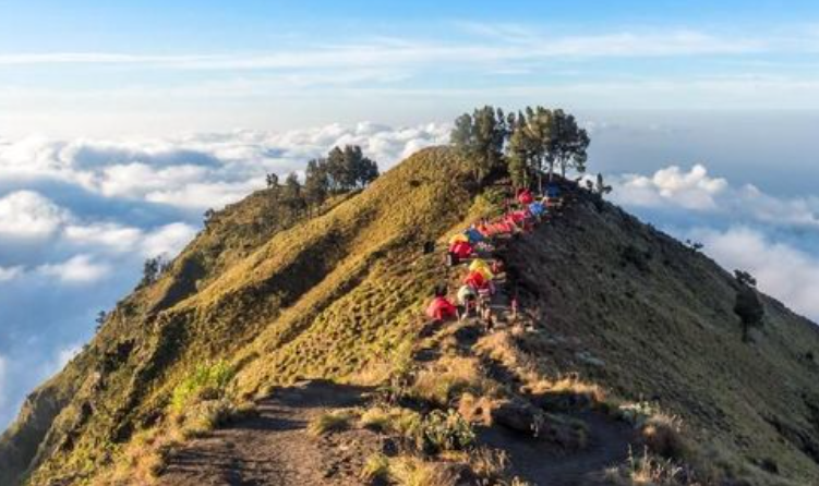 Sedikitnya 60 orang pendaki Gunung Rinjani menjadi korban penipuan jasa open trip. Mereka ditinggalkan penanggungjawab jasa dan dibiarkan terlantar. (Foto: ilustrasi)