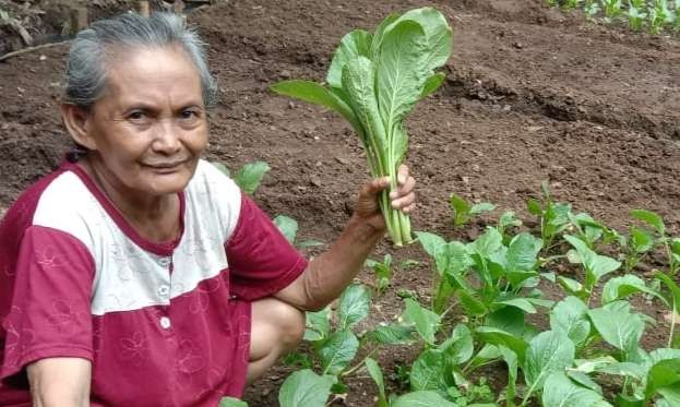 Mbah Temu berjualan sayuran untuk biaya anak kuliah ( foto: Asmanu Sudarso/ngopibsren,g.id )