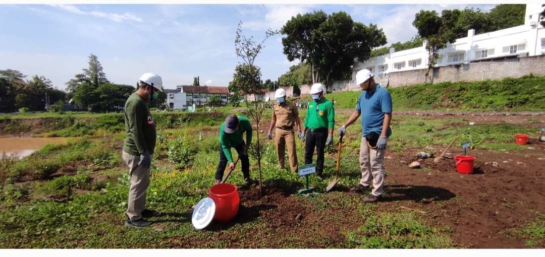 Peringati Gerakan Sejuta Pohon, DLHKP ajak Pelajar Tanam Pohon (fen/ngopibareng.id)