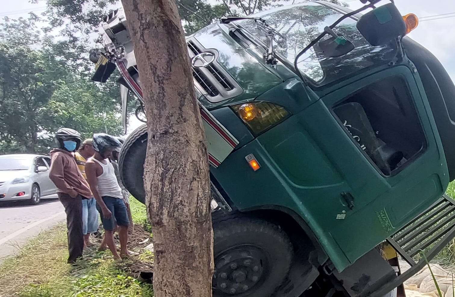 Setelah bodi dan muatannya terguling, kepala truk trailer “nangkring” di batang pohon di pinggir Jalan Raya Lumajang, Probolinggo. (Foto: Ikhsan Mahmudi/Ngopibareng.id)