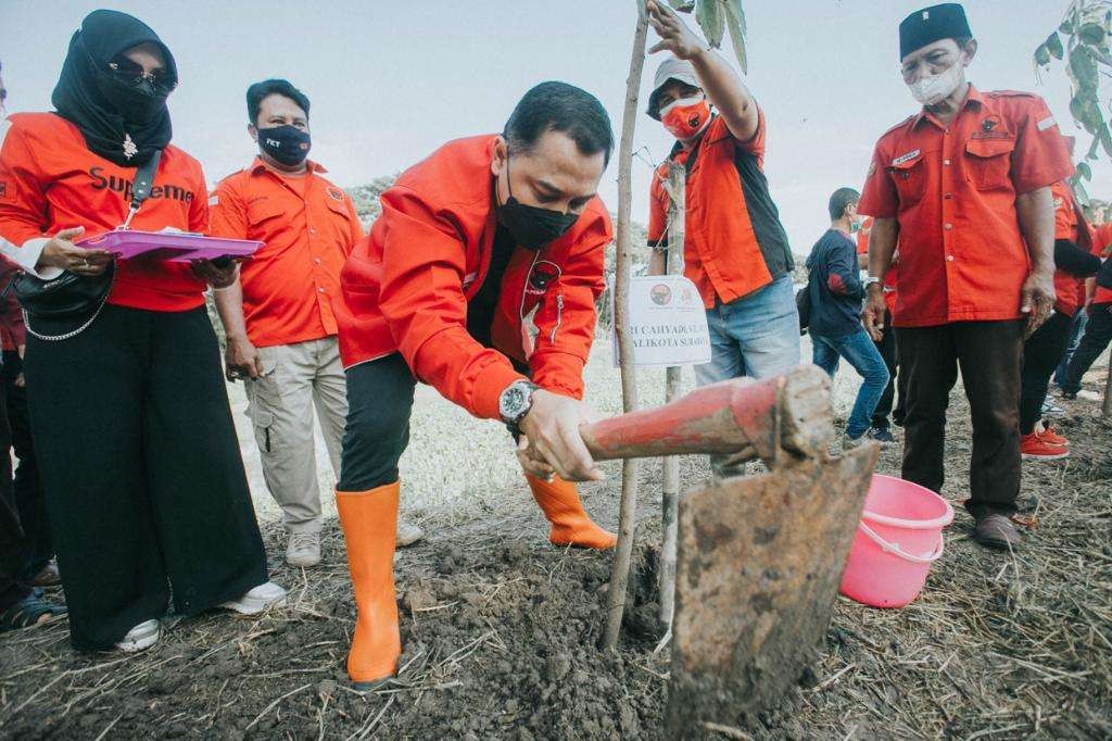 Tanam pohon Mahoni yang dilakukan DPC PDI PERJUANGAN SURABAYA. (Foto: PDIP Surabaya untuk Ngopibareng.id)