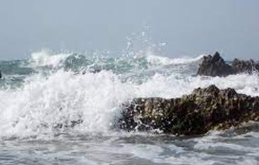 11 korban meninggal saat ritual mandi di Pantai Payangan Jember. (Foto: Kemendagri)