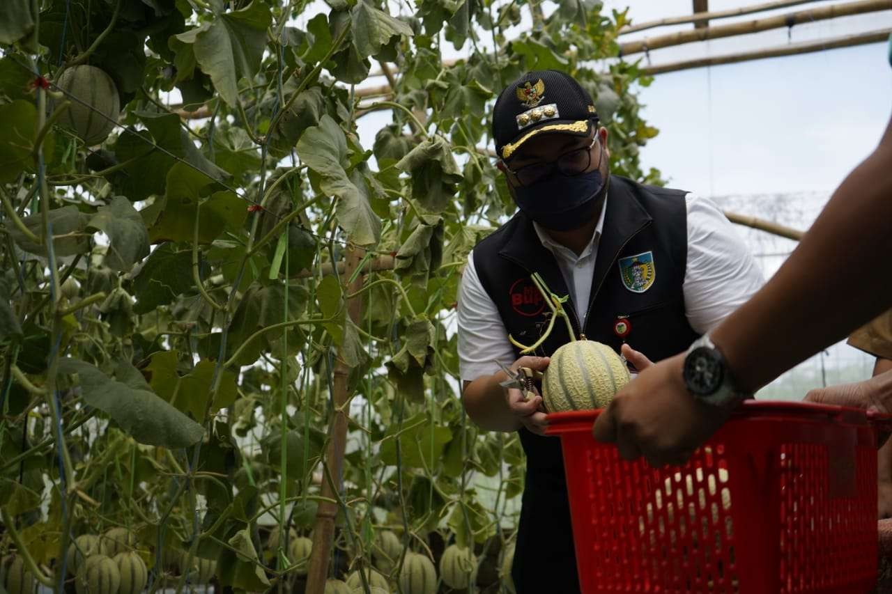 Pemkab Kediri Dorong Petani Milenial Gunakan Teknologi Pertanian Hingga Bisa Ekspor (istimewa)