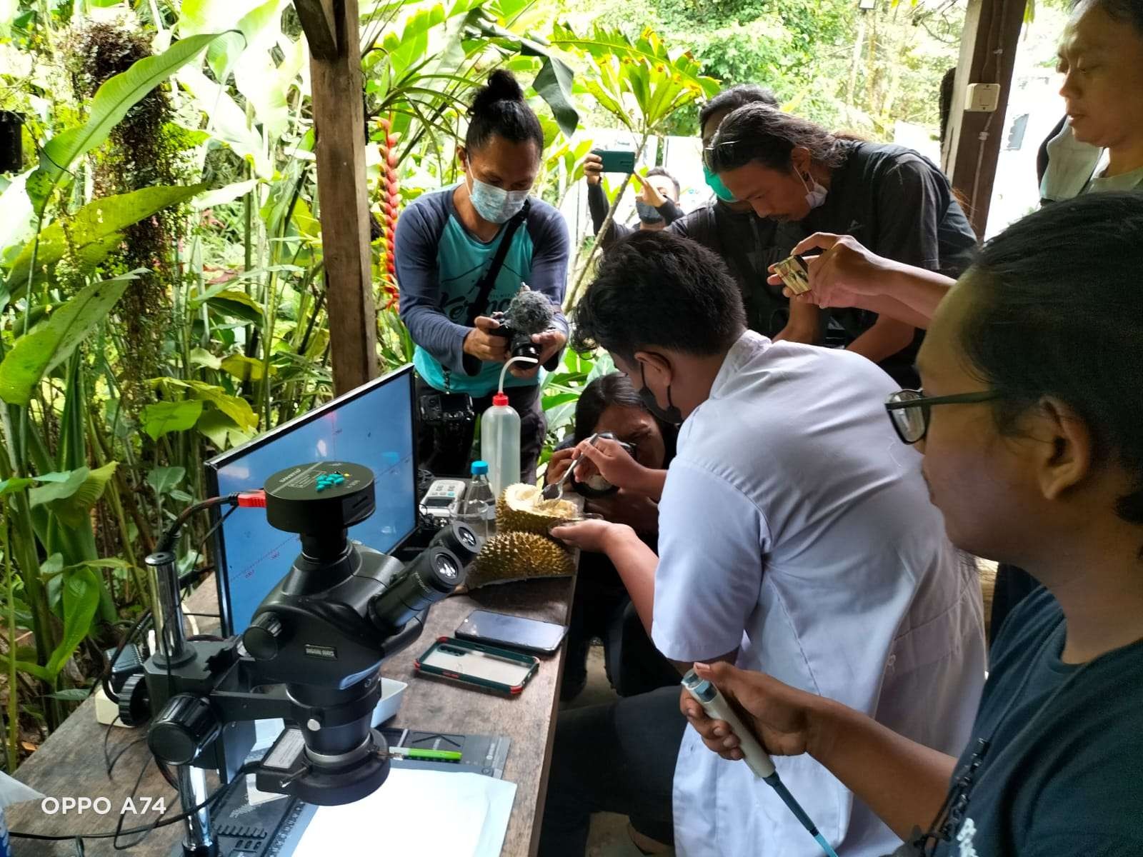 Peneliti sedang menguji ada tidaknya cemaran mikroplastik dalam durian Wonosalam. (Foto: Istimewa